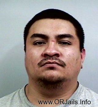 Jose Luis  Jr Diosdado Mugshot